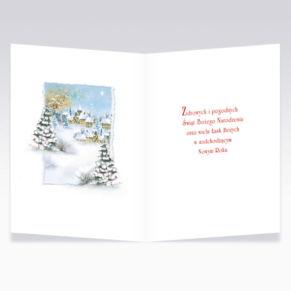 Mixed Polish Christmas Greeting Cards, Set of 6