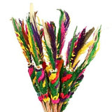 Polish Traditional Easter Sunday Palms 12 inches, Set of 3 - Taste of Poland
