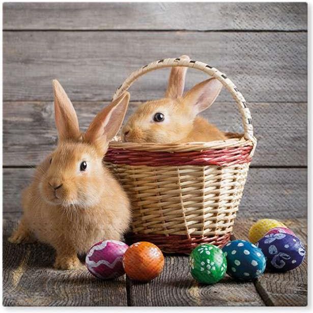Polish Easter Bunnies in Basket Luncheon Napkins, Set of 20